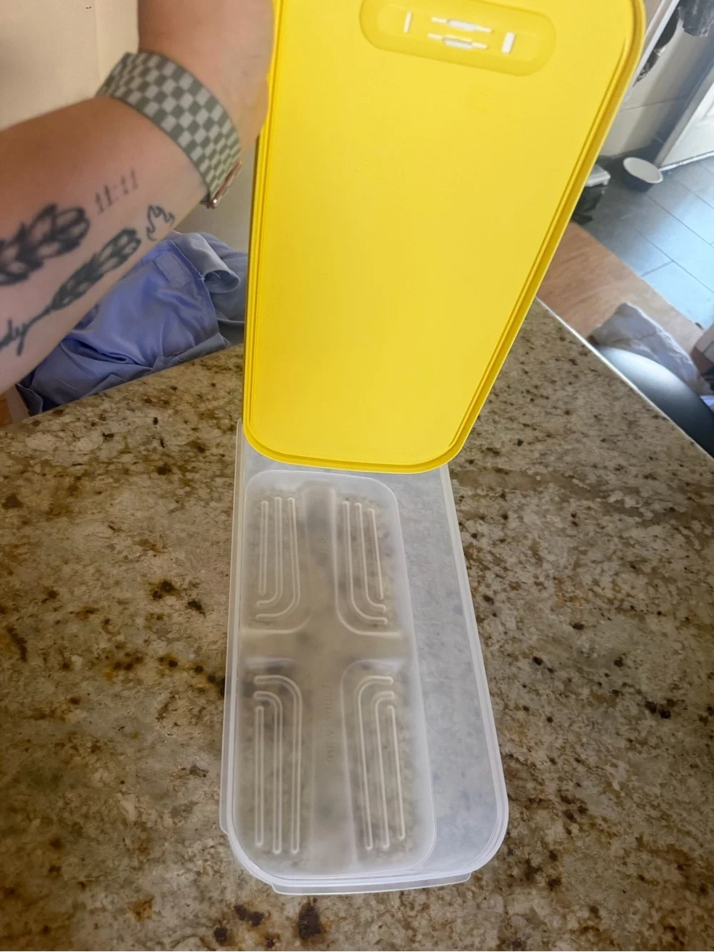 Large Tupperware Fridgesmart